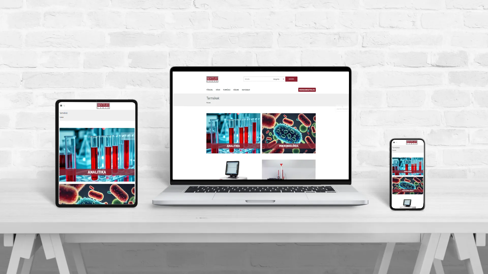 Tartalomfejlesztés Facebook, LinkedIn és Youtube